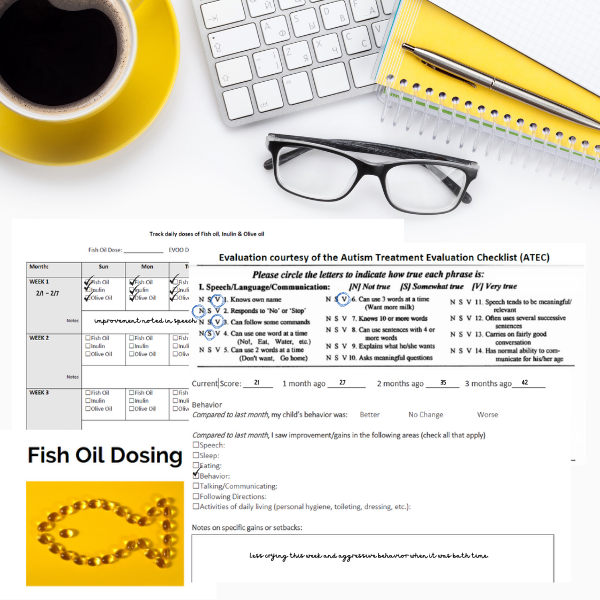 Nemechek Protocol Starter Kit - Tumble into Love. Image showing a desk, computer, glasses, notebook, pen, and sample material including checklists and fish oil dosing.
