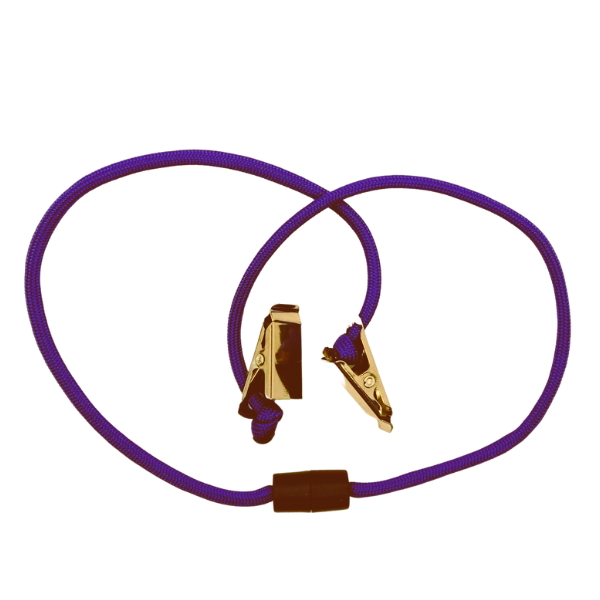 Image showing purple mask lanyard