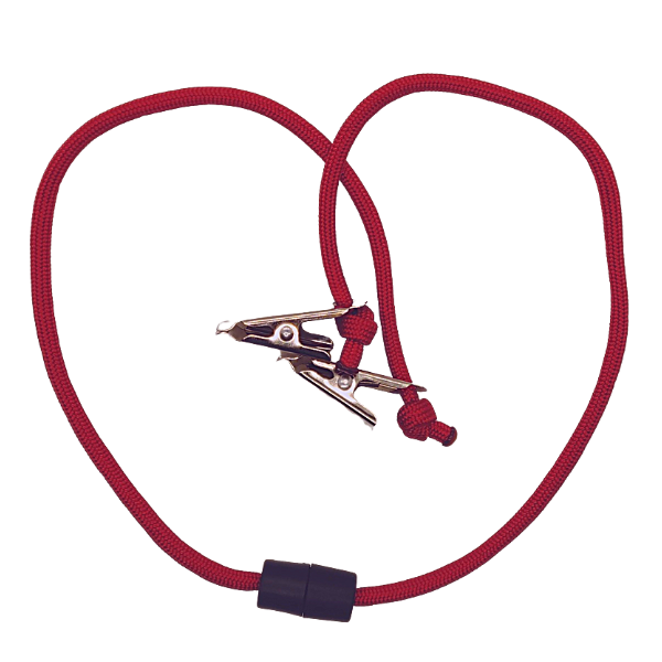 Image showing red mask lanyard